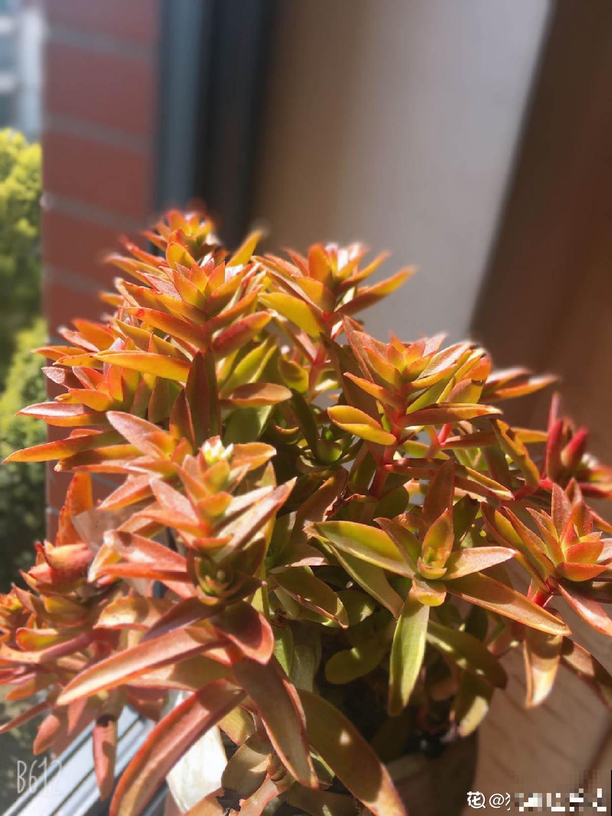 秋天又乏又燥,做好5件事,有效缓解乏和燥 秋天又乏又燥,做好5件事,有效缓解乏和燥