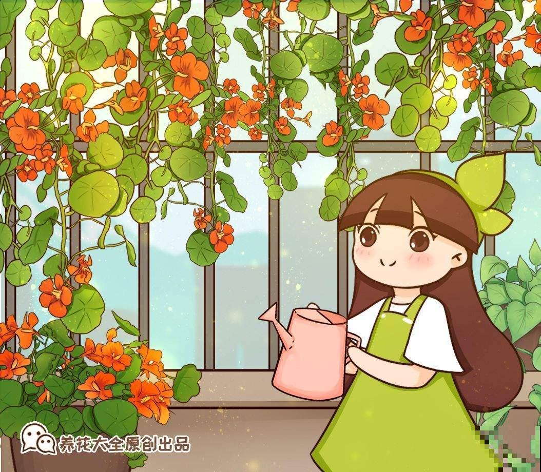 命里带“金”的花，家里养一盆，喜庆吉祥有好寓意