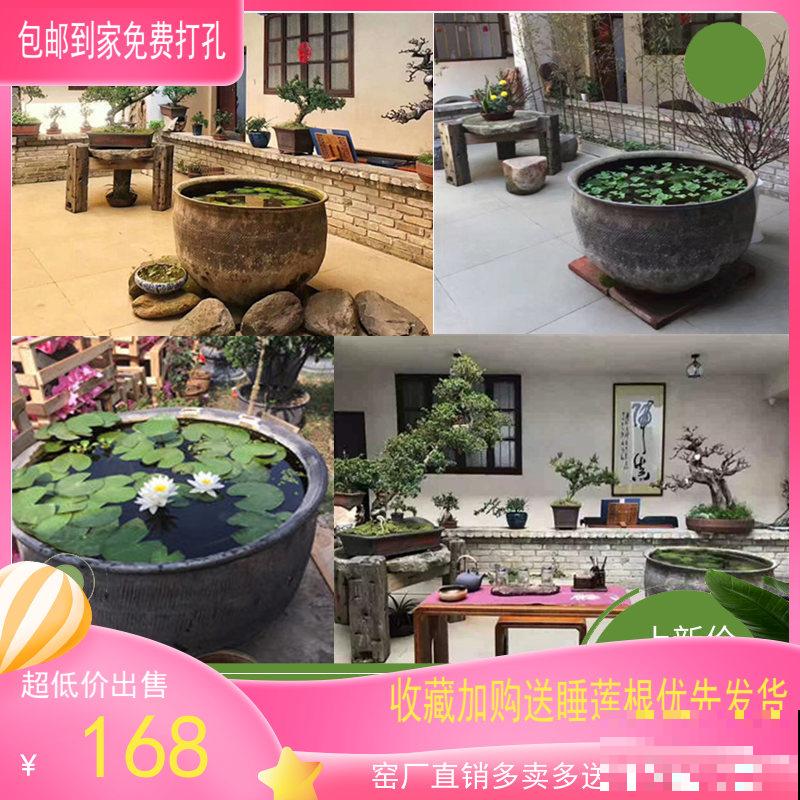 5种水果,让果实压弯树枝,摘下就能吃 5种水果,让果实压弯树枝,摘下就能吃