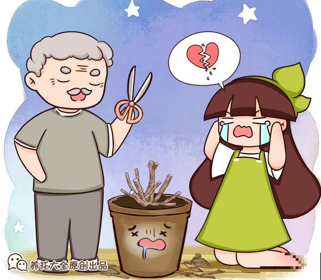 4种花不能惯着，狠狠剪一刀，呼呼冒出“小笋芽”