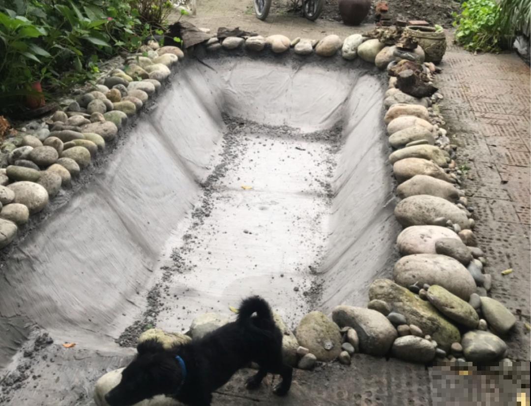 植物搬出门，痛快淋场雨，植物越来越旺