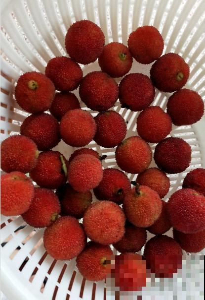 杨梅难清洗，只需6个方法，吃到干净杨梅