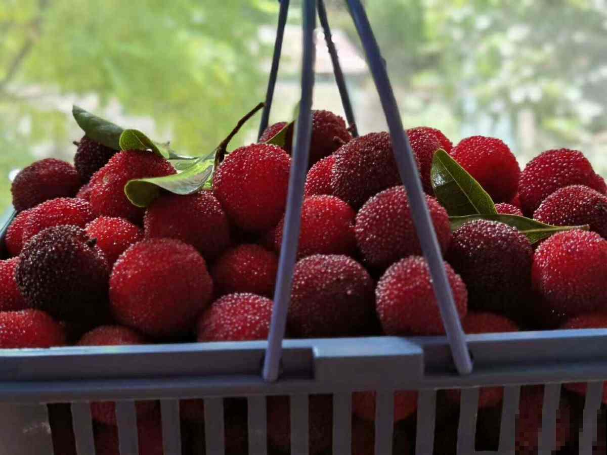 水果总洗不干净，试试这4个妙招，水果洗得安全放心