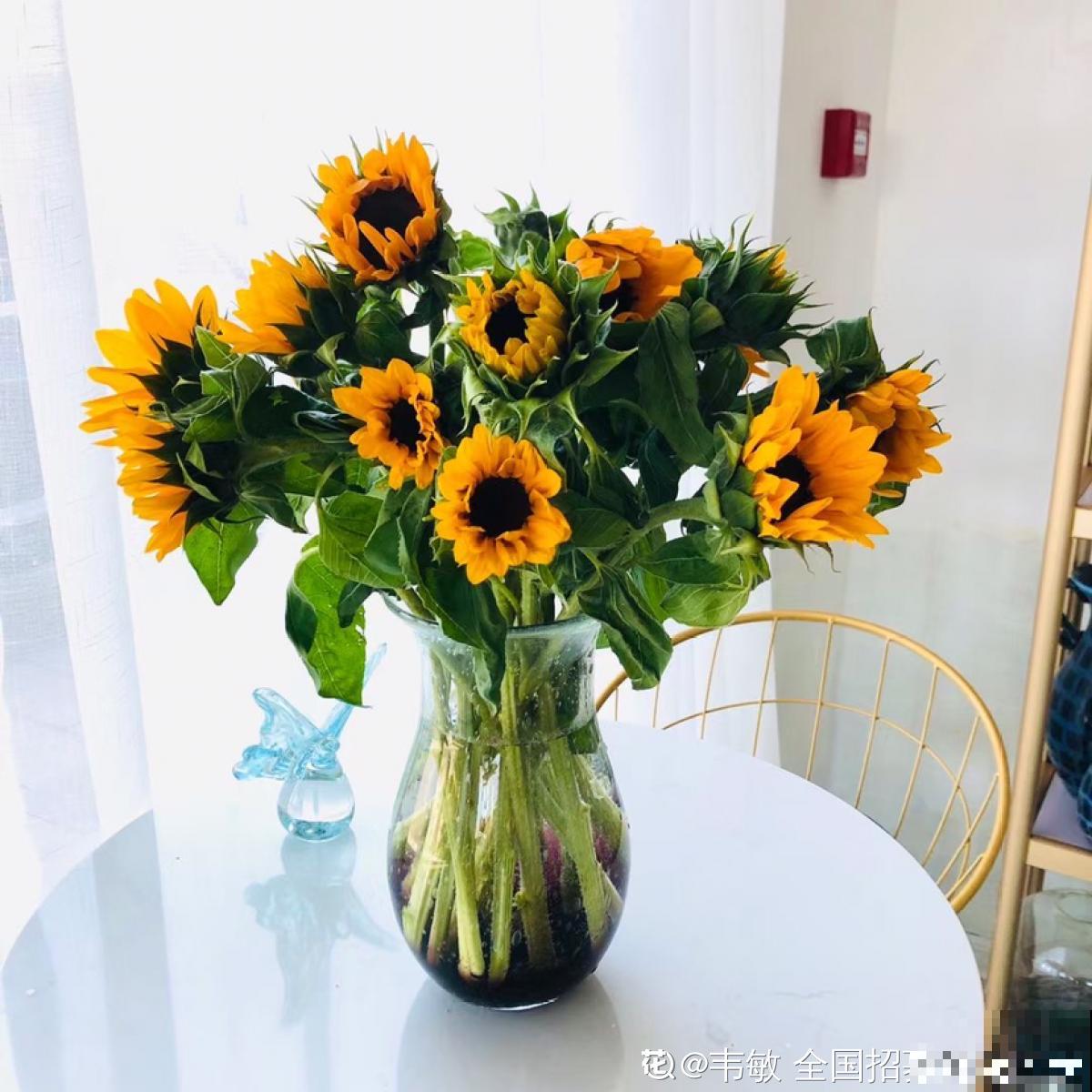 花不止配女士,有4种花也格外受到男士喜爱 花不止配女士,有4种花也格外受到男士喜爱