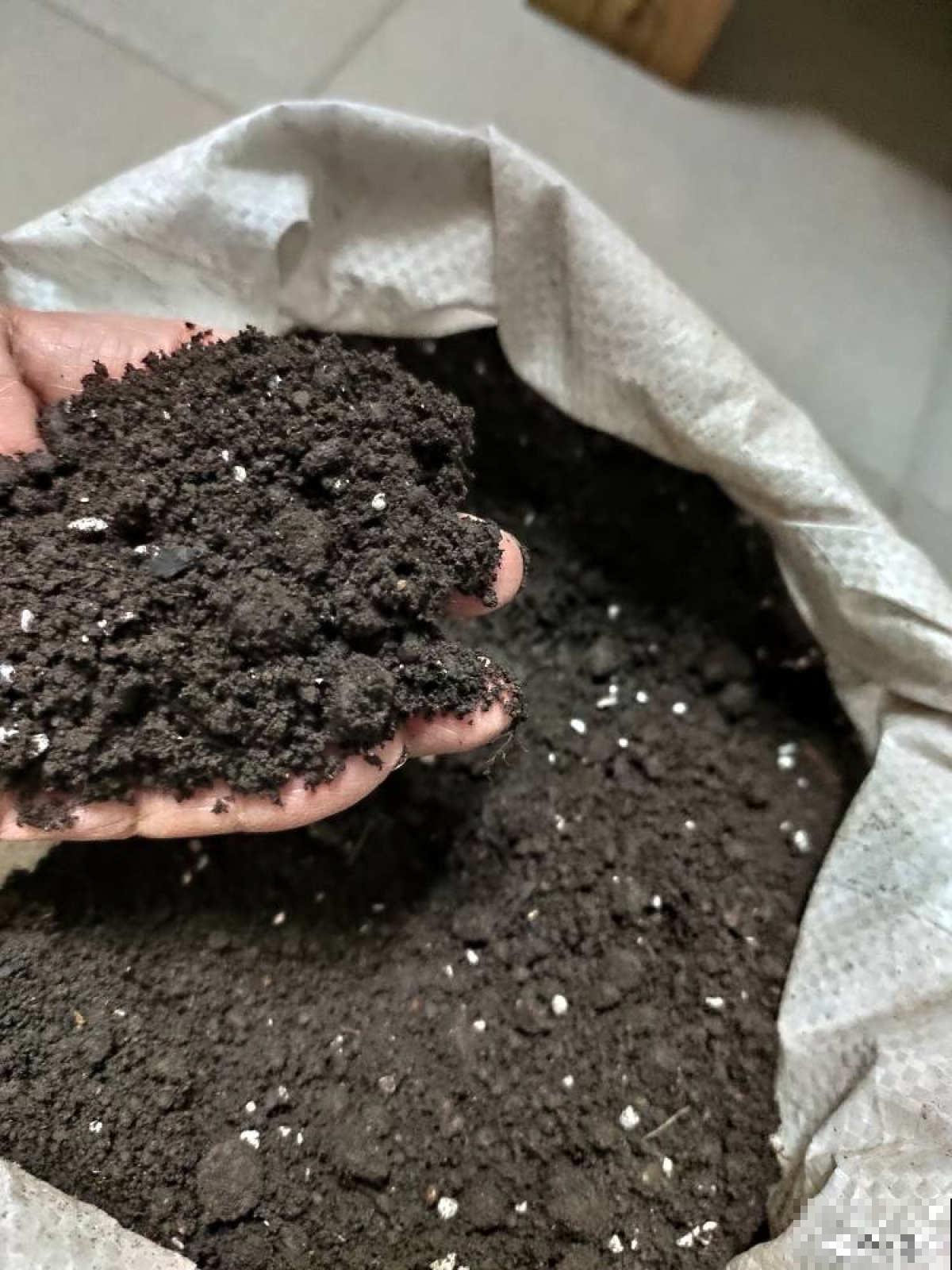 网购的花,拿到手后做4步,很快恢复状态 网购的花,拿到手后做4步,很快恢复状态