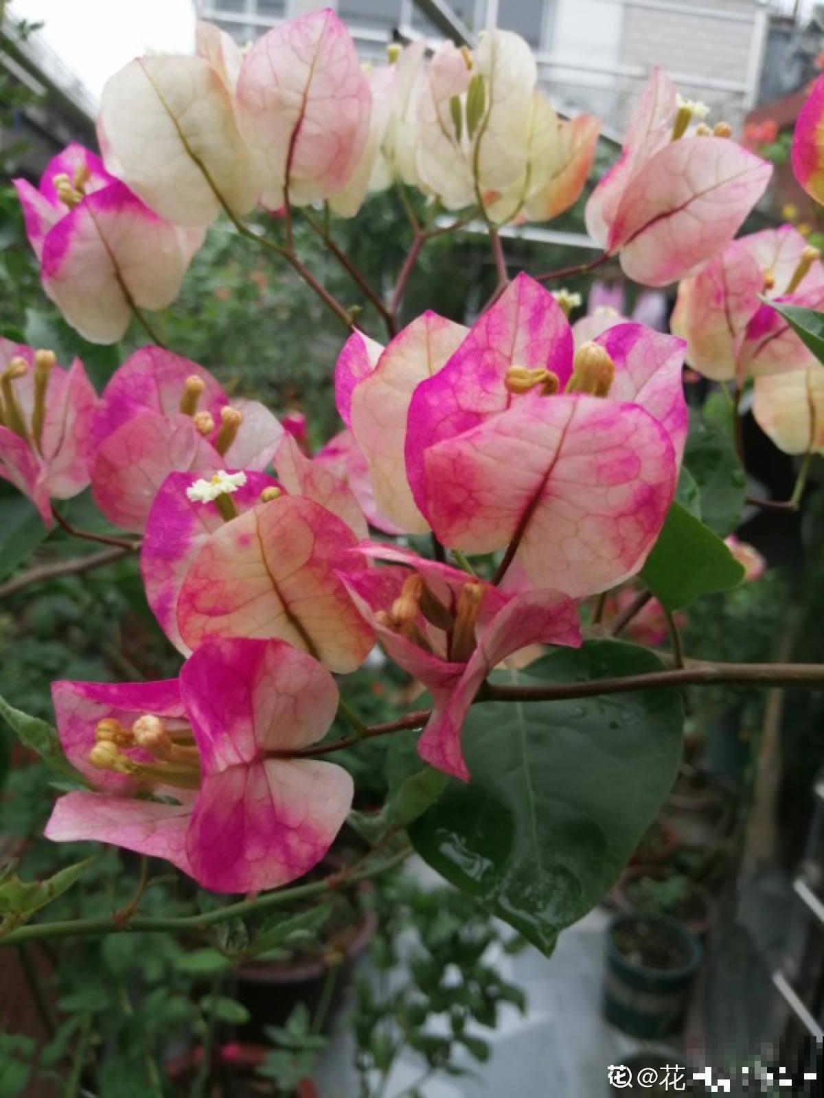 10个人生道理，年过半百的人更能理解，你赞同吗