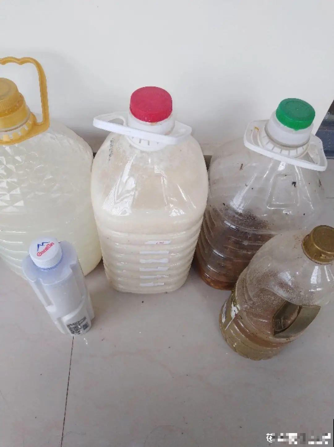 7种有机肥, 给花吃一点,花长得特旺 7种有机肥, 给花吃一点,花长得特旺