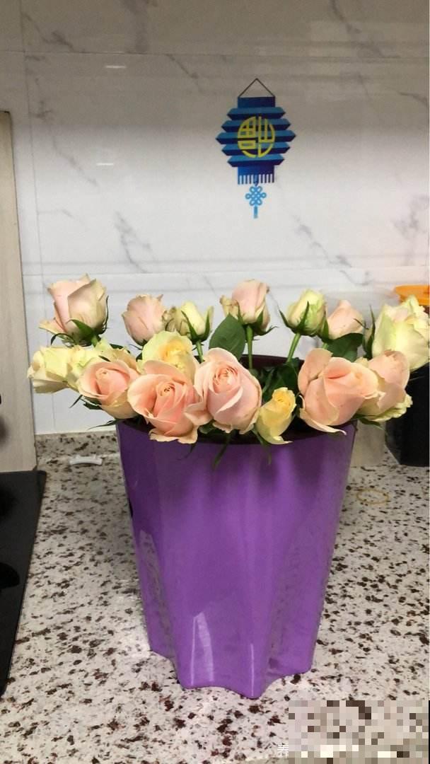 节日收到的花束,拿回家却束手无策?手把手教你鲜花养护 节日收到的花束,拿回家却束手无策?手把手教你鲜花养护