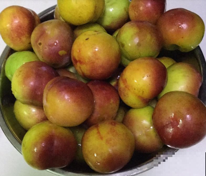 常见水果上市的季节,多吃应季蔬果,对身体有好处 常见水果上市的季节,多吃应季蔬果,对身体有好处