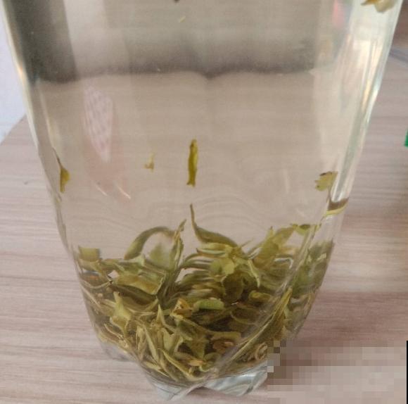 自己做花肥，不花一分钱，肥料更好用，营养还齐全