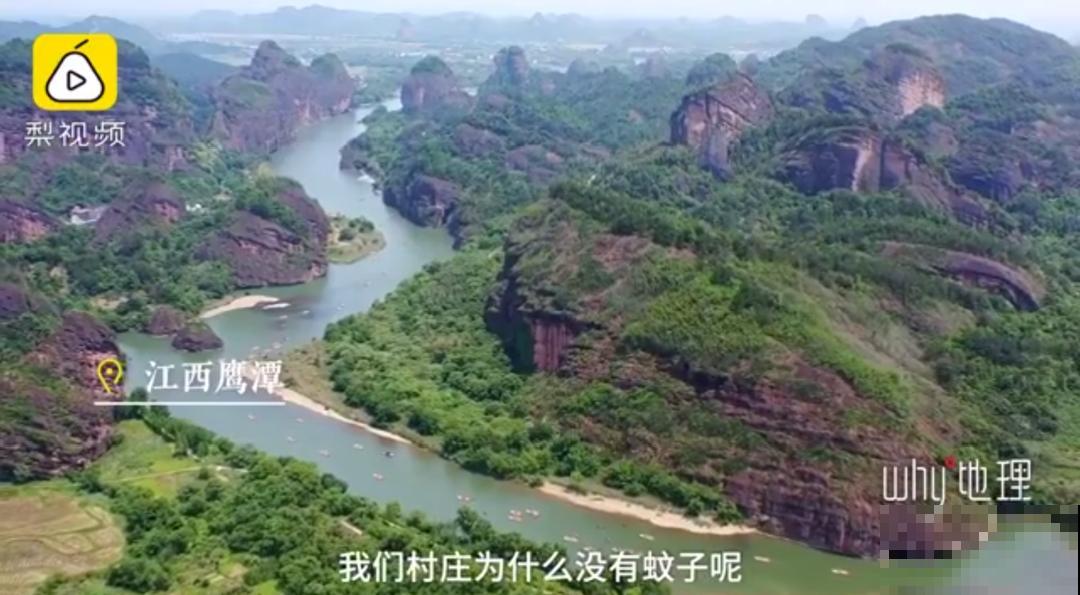 江西无蚊村,种满“驱蚊树”,一年四季没蚊子 江西无蚊村,种满“驱蚊树”,一年四季没蚊子