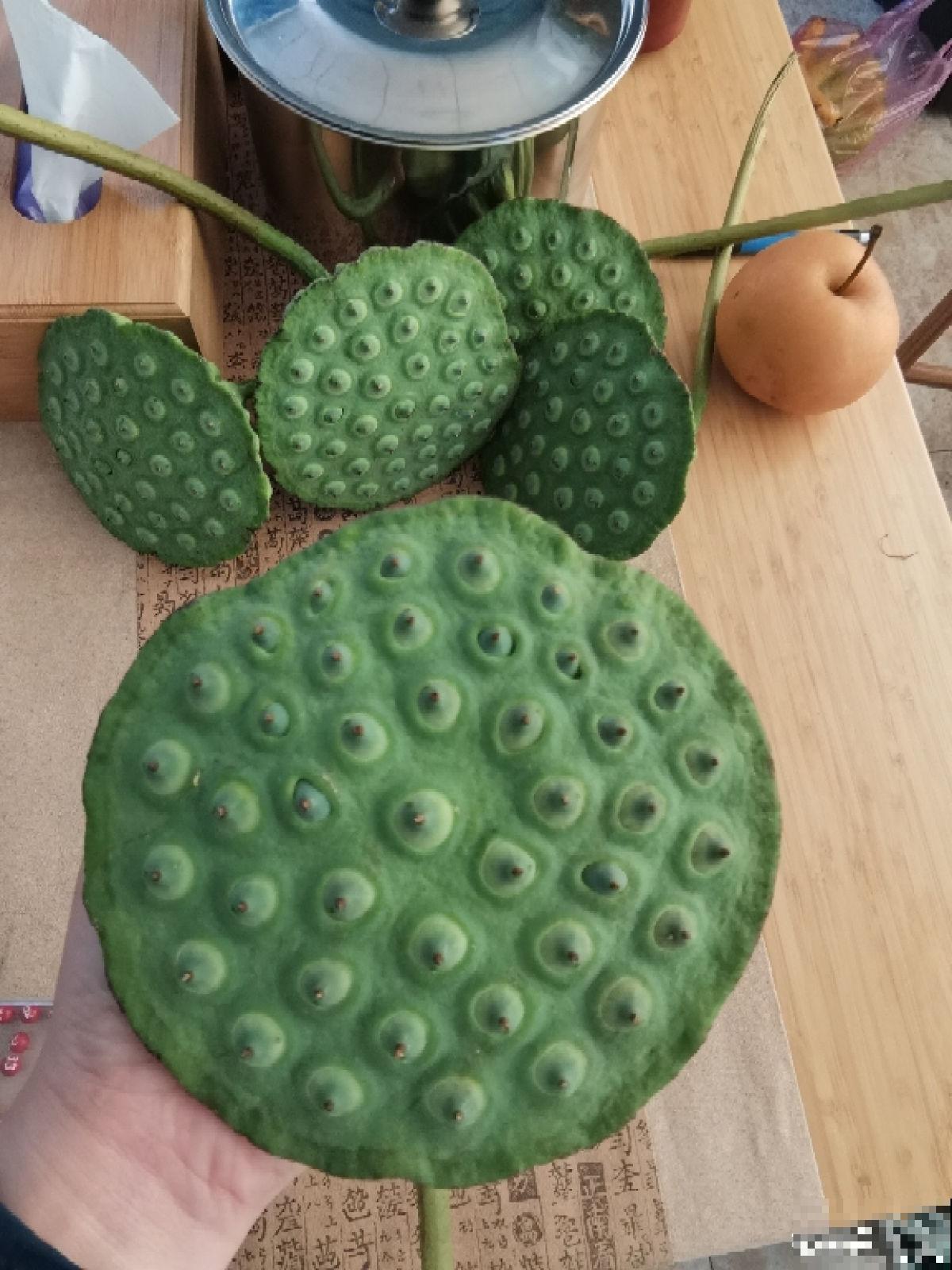 秋天喝点“滋润汤”,滋润身心,秋天不燥 秋天喝点“滋润汤”,滋润身心,秋天不燥