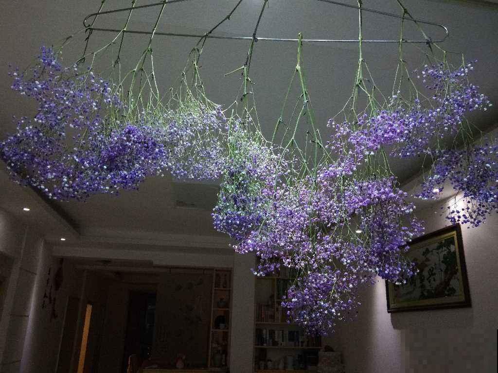 分不清永生花和干花？学会制作干花，让花期无限延长