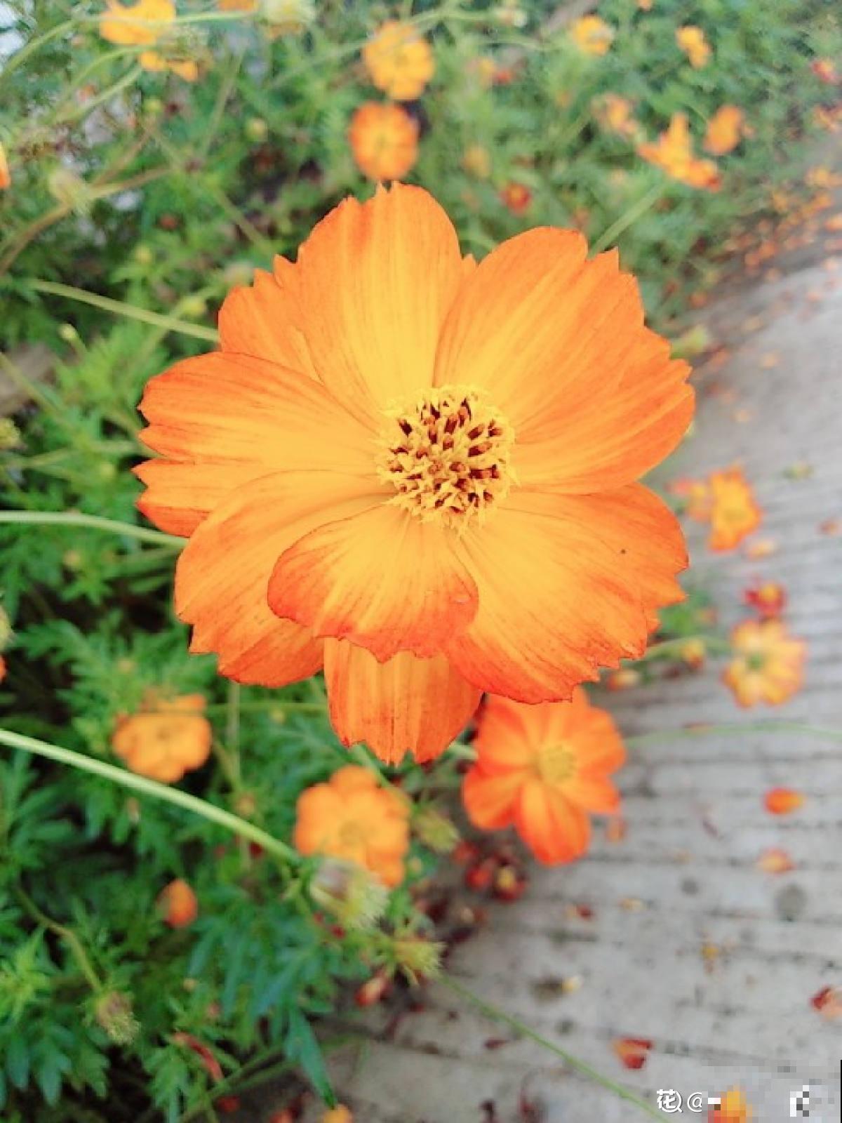 10个人生道理，年过半百的人更能理解，你赞同吗