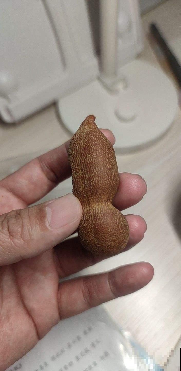 路边的野花别乱采,要是采到“国二”,可能会惹到麻烦 路边的野花别乱采,要是采到“国二”,可能会惹到麻烦