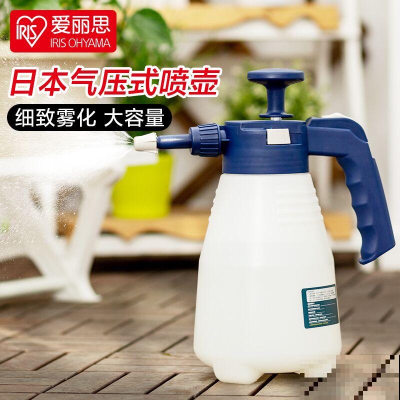 西瓜皮椒草暗淡无光，掌握这5步养护，家里也能赏“西瓜”