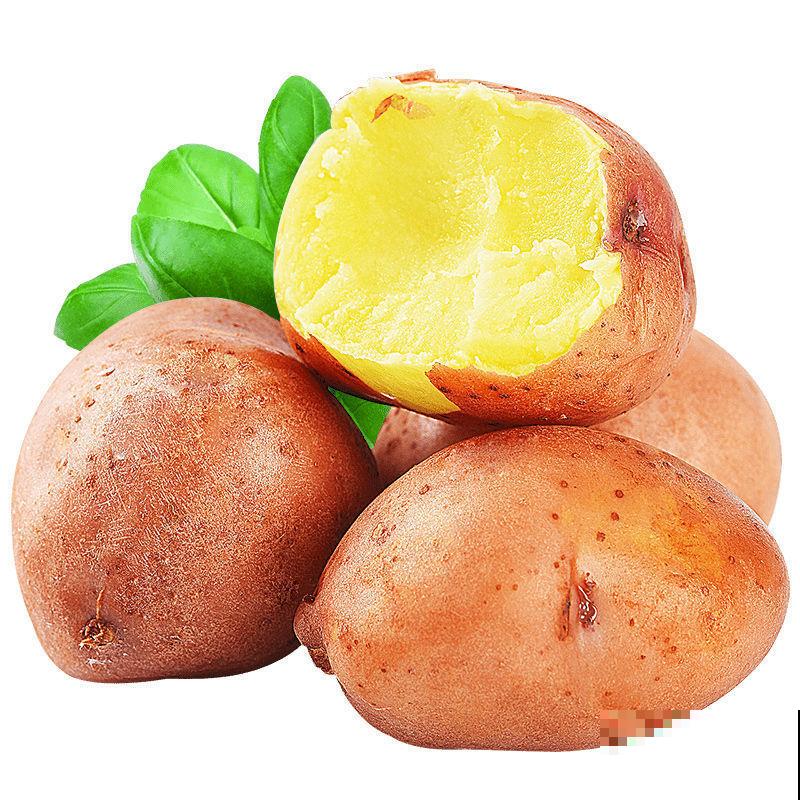 常见水果上市的季节,多吃应季蔬果,对身体有好处 常见水果上市的季节,多吃应季蔬果,对身体有好处