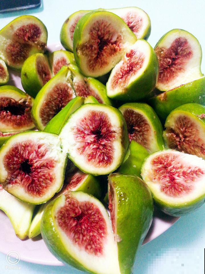 自己动手，院子里种无花果，省钱还放心