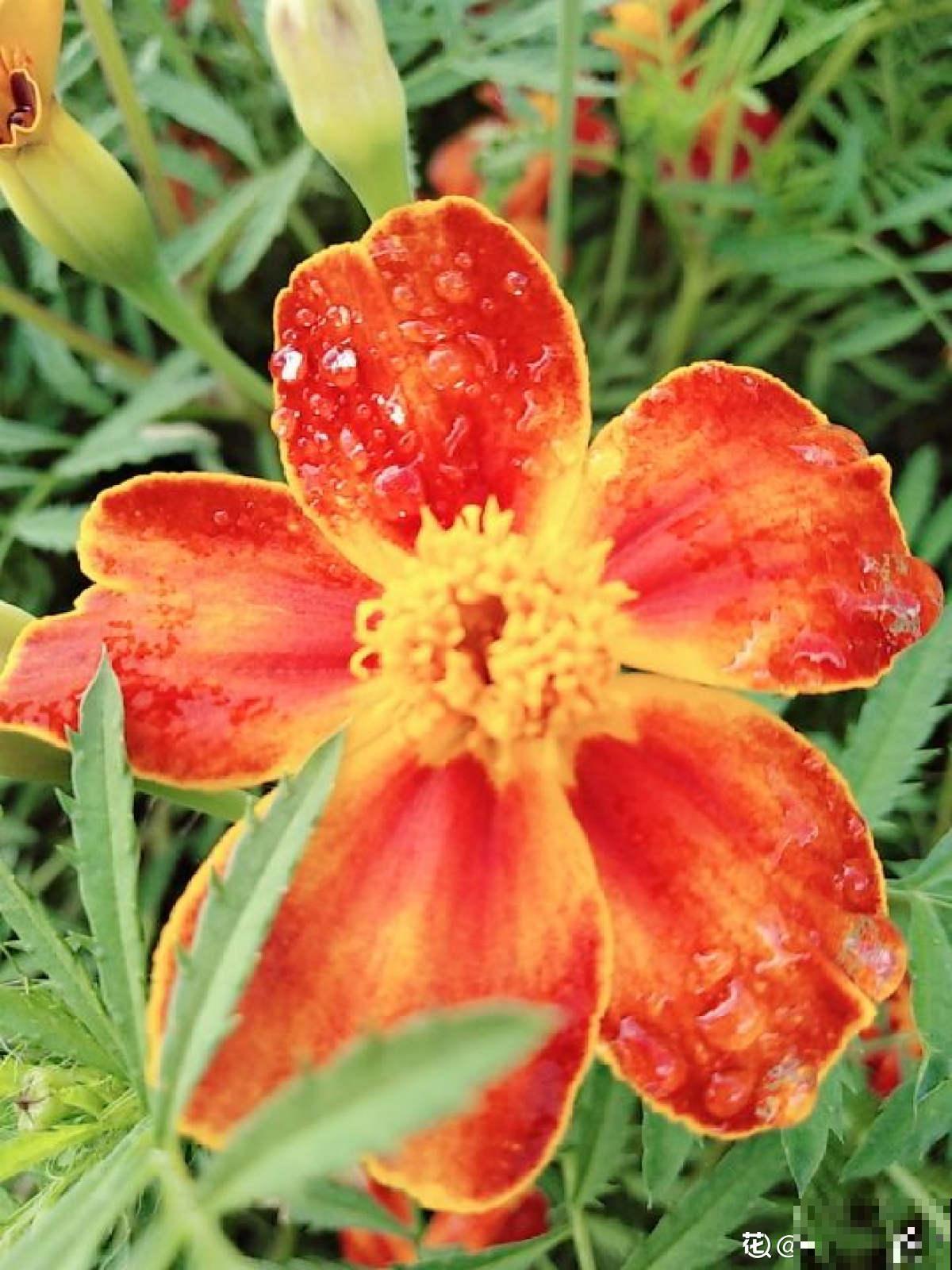 10个人生道理，年过半百的人更能理解，你赞同吗