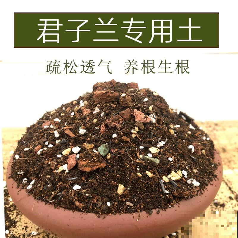 5种植物，年纪越大的人养得越好，太年轻养不好