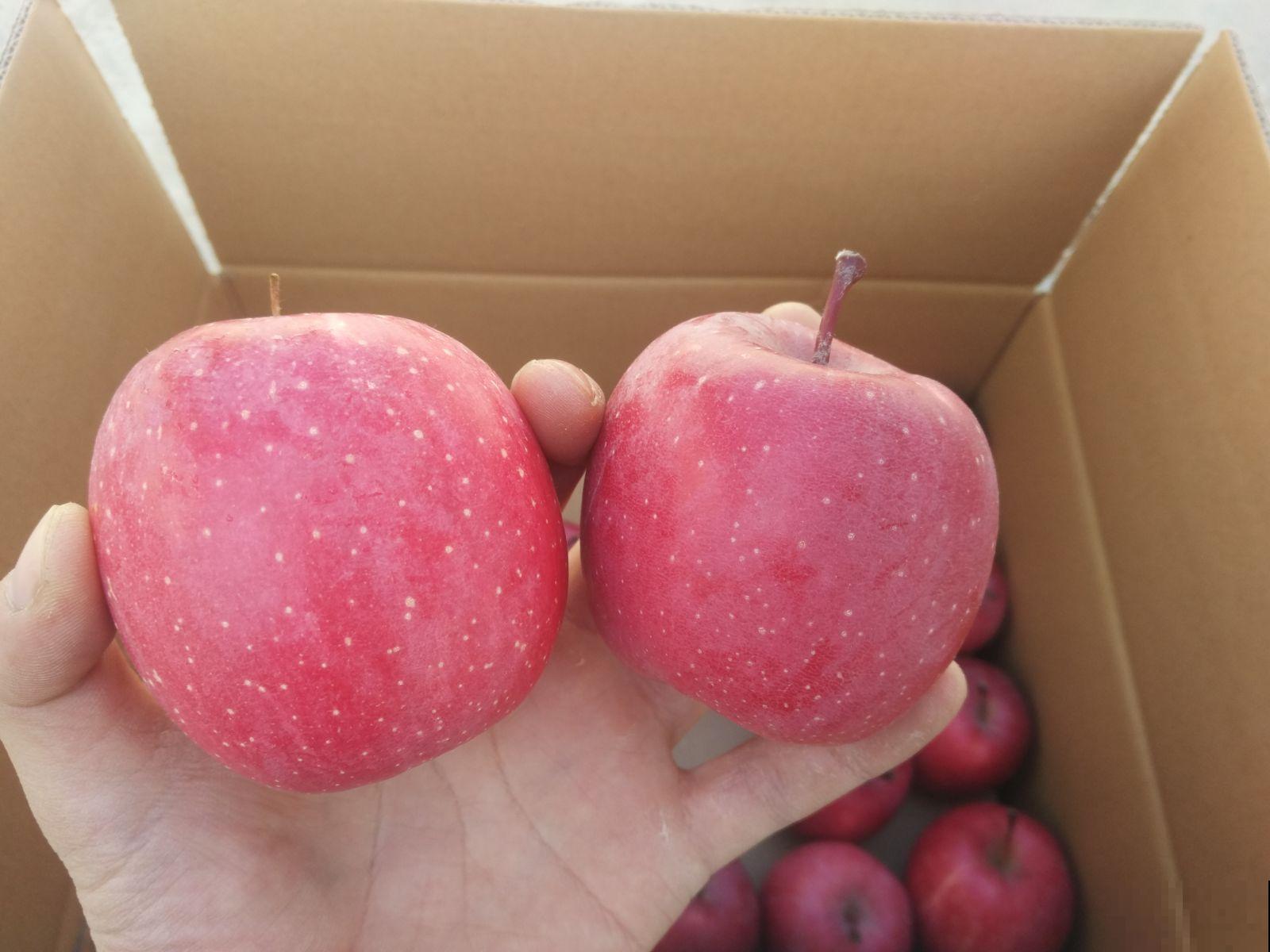 水果太甜含糖多?3种常见水果,好吃还不胖 水果太甜含糖多?3种常见水果,好吃还不胖