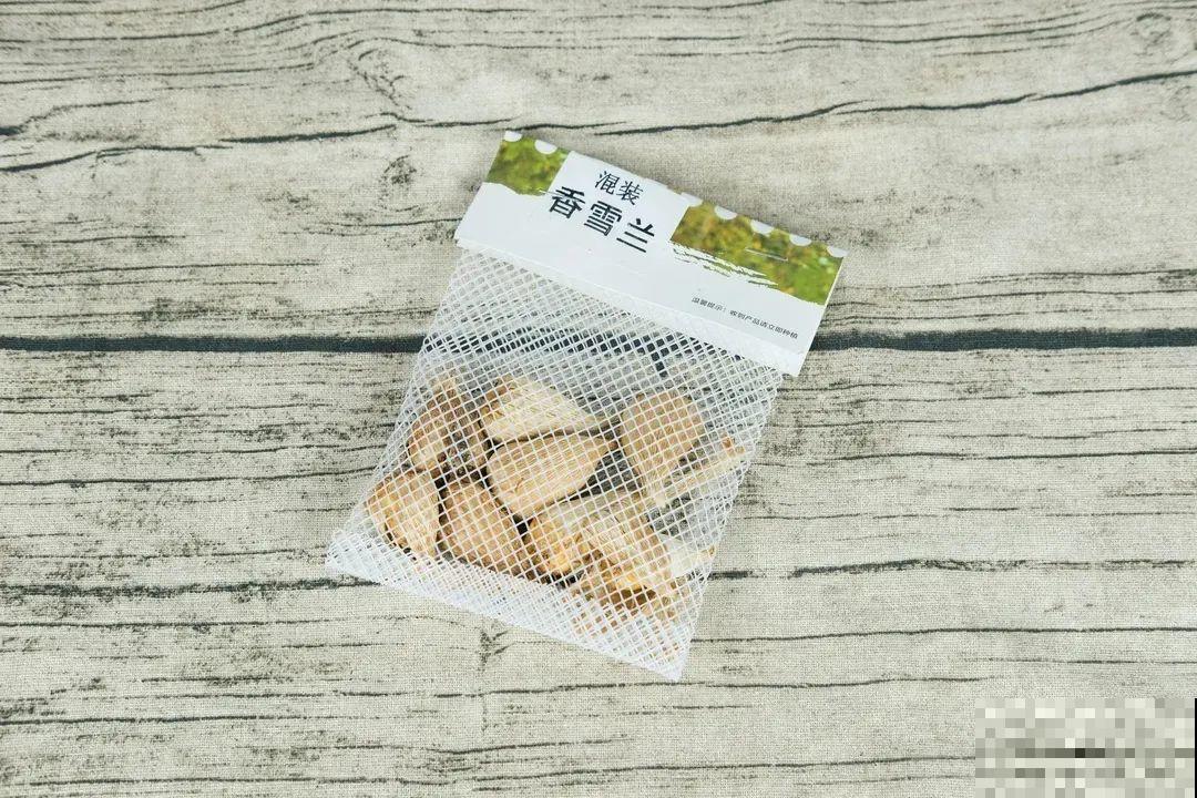 开花超香的香雪兰，夏天叶子全黄了，挖出满盆小球，大丰收！