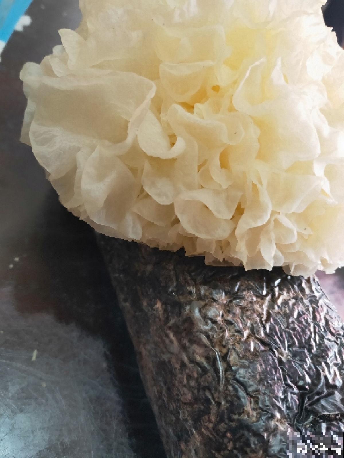 秋天喝点“滋润汤”,滋润身心,秋天不燥 秋天喝点“滋润汤”,滋润身心,秋天不燥