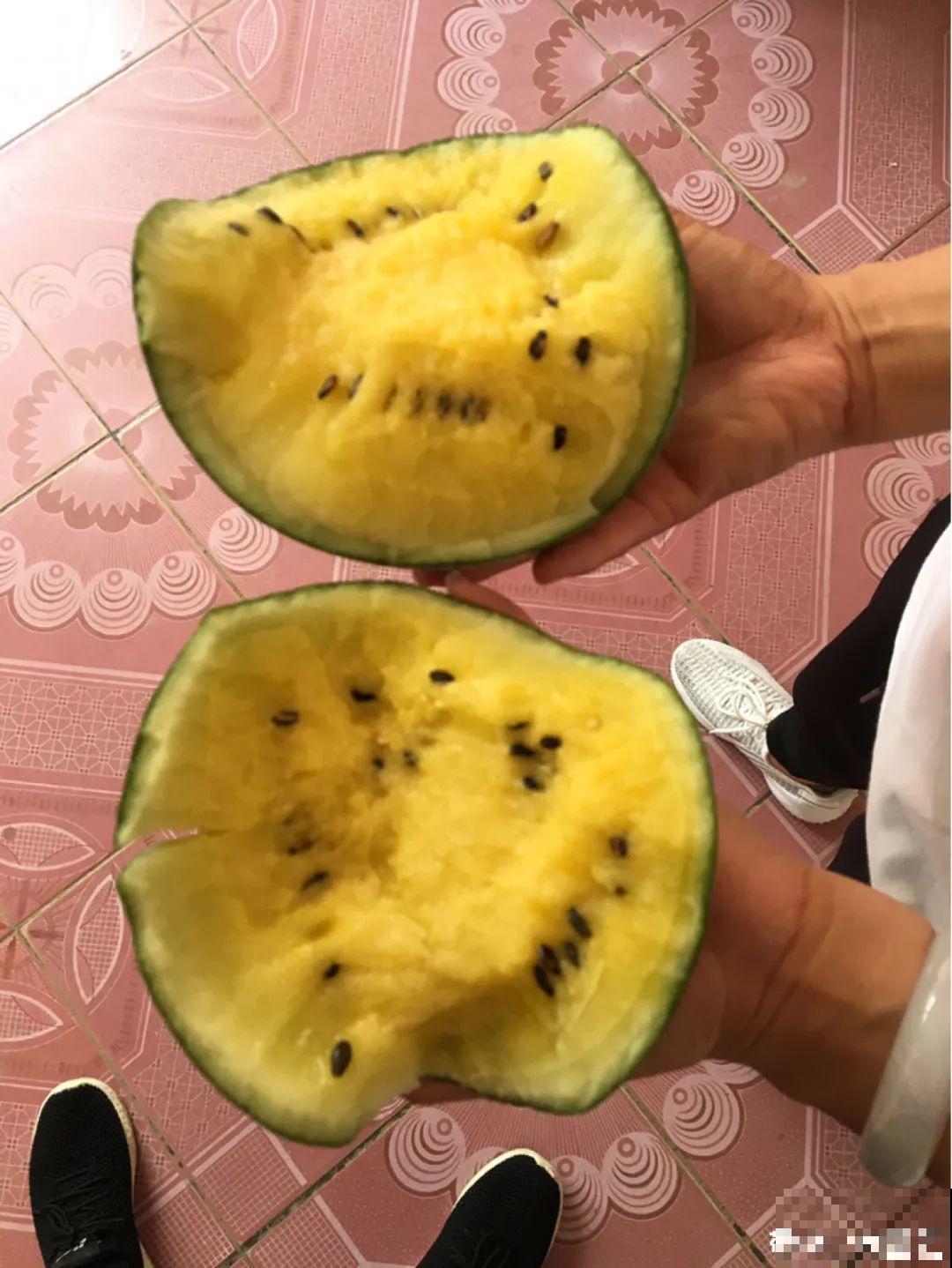 15万块钱的一个蜜瓜，到底有多好吃？