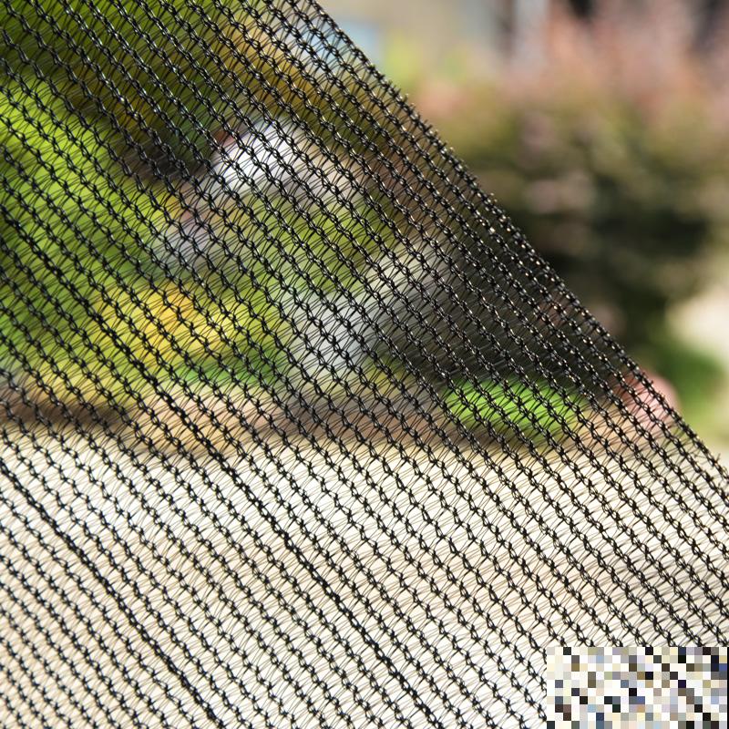 夜晚开放的昙花太美了,拿出相机记录分享,惹众人羡慕 夜晚开放的昙花太美了,拿出相机记录分享,惹众人羡慕