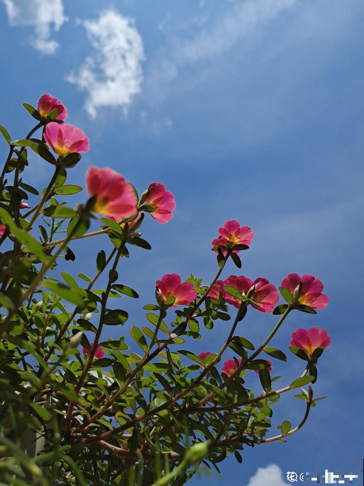 秋天又乏又燥，做好5件事，有效缓解乏和燥