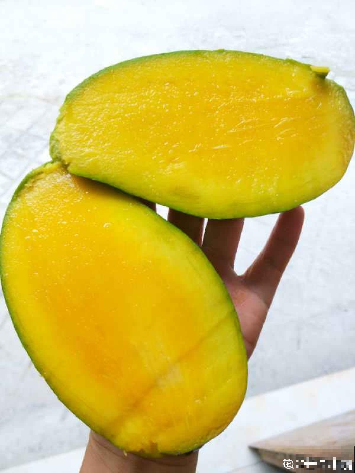 芒果甜品千千万,学会这2个,大人孩子抢着吃 芒果甜品千千万,学会这2个,大人孩子抢着吃