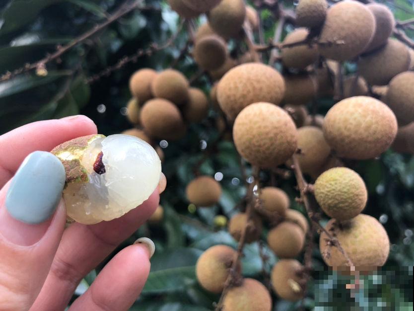 水果的最佳食用时间，吃错只有负担，减肥更要注意