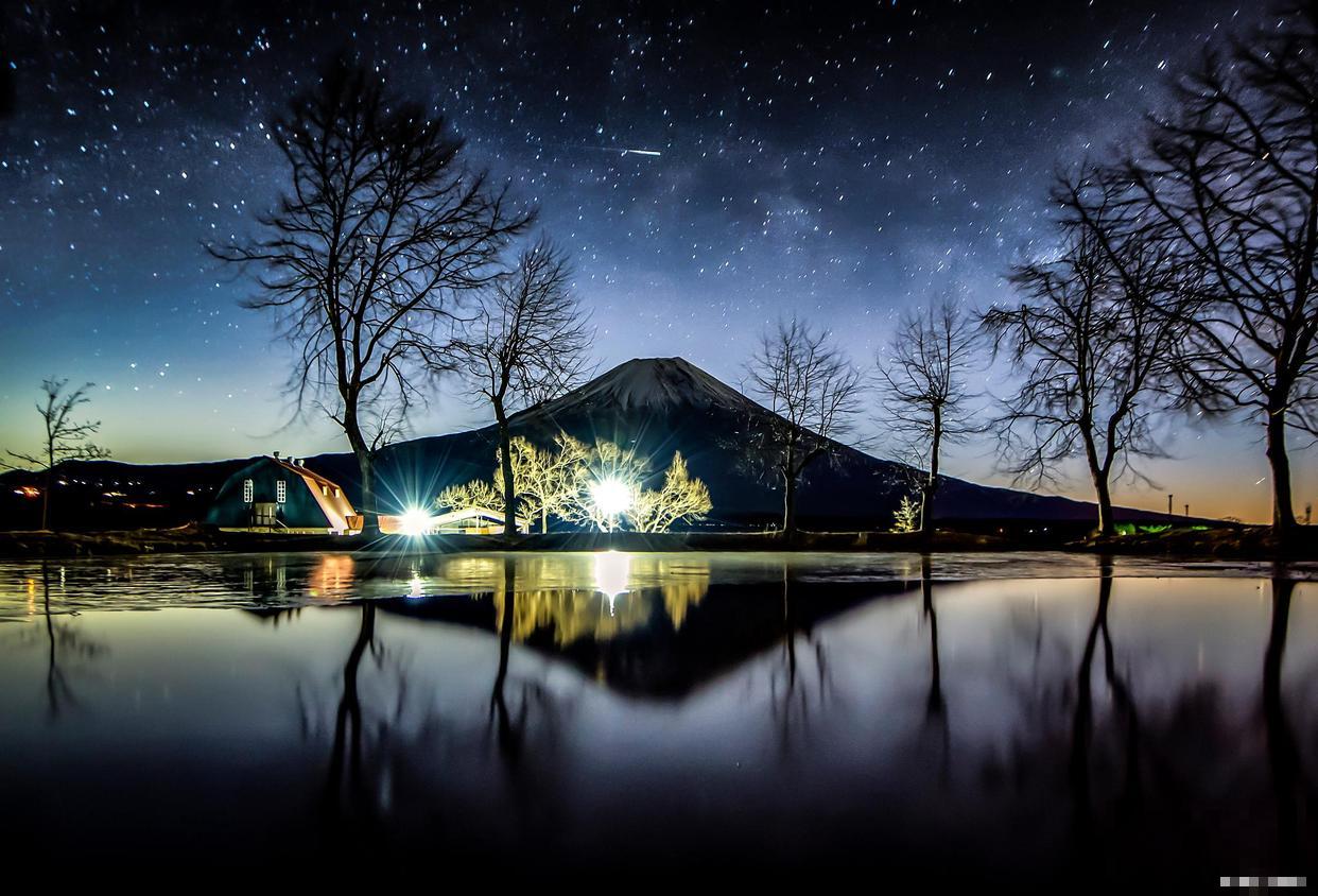 状元红与朱砂桂哪个更红更香