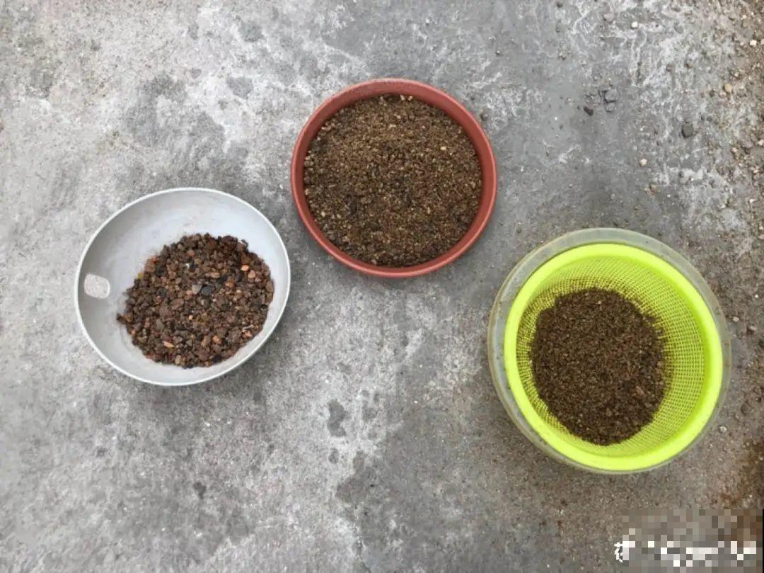 9种土别拿来养花,对花不好,容易黄叶烂根 9种土别拿来养花,对花不好,容易黄叶烂根