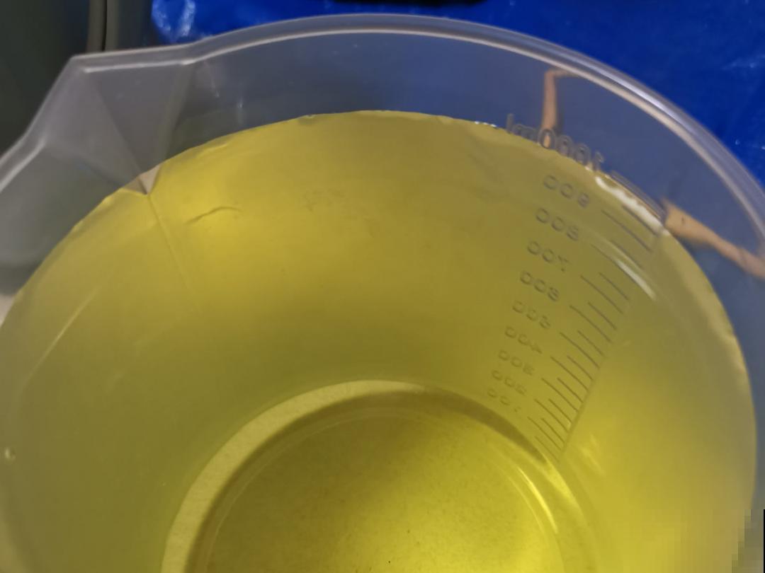 植物搬出门，痛快淋场雨，植物越来越旺