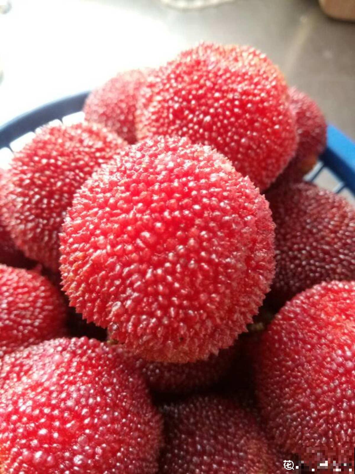 杨梅难清洗，只需6个方法，吃到干净杨梅