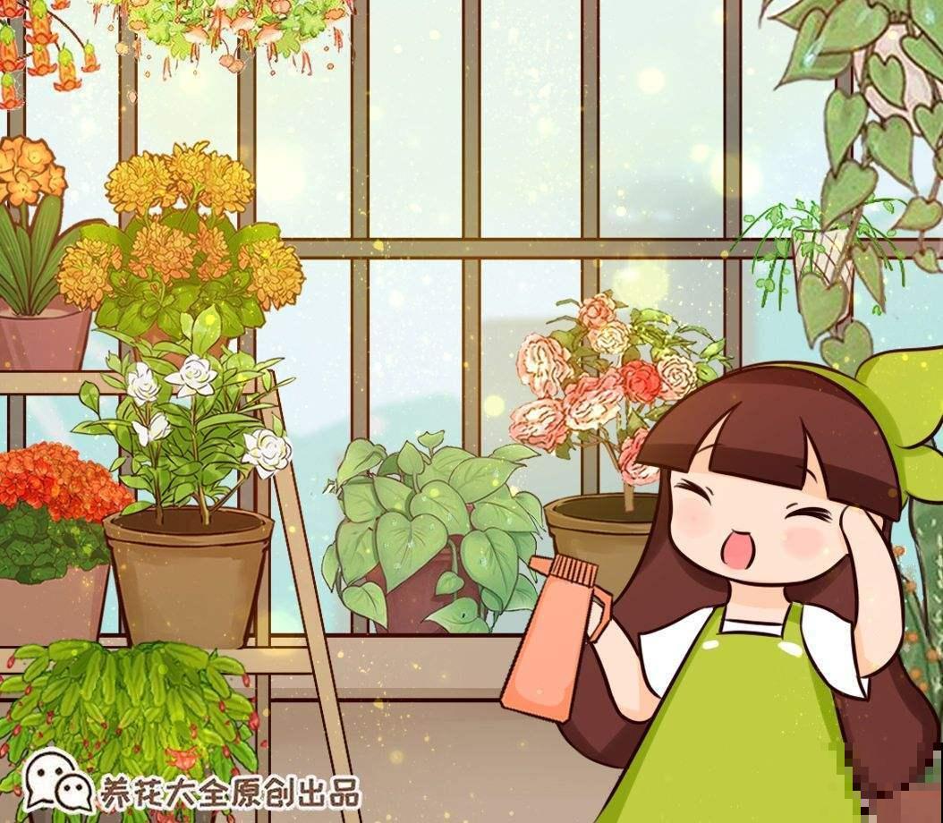 常见的切花,个个都是“大美女”,中国有四种 常见的切花,个个都是“大美女”,中国有四种