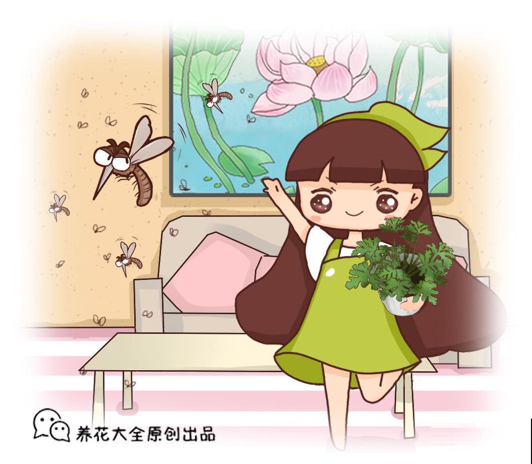 蚊虫绕道走，4种盆栽阳台放，比蚊香还有用