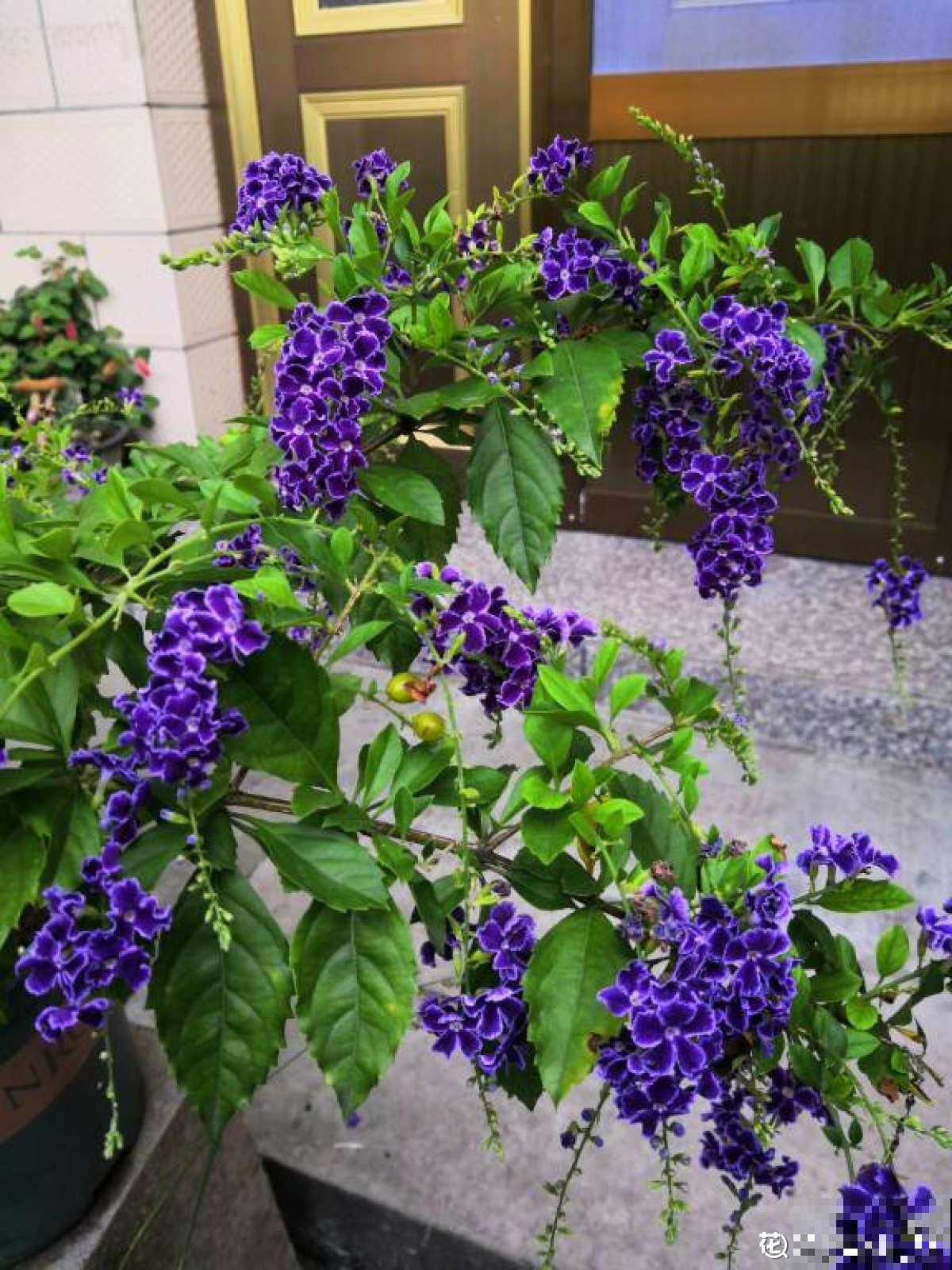 白露节气到,改变2点生活习惯,秋天才能健康度过 白露节气到,改变2点生活习惯,秋天才能健康度过