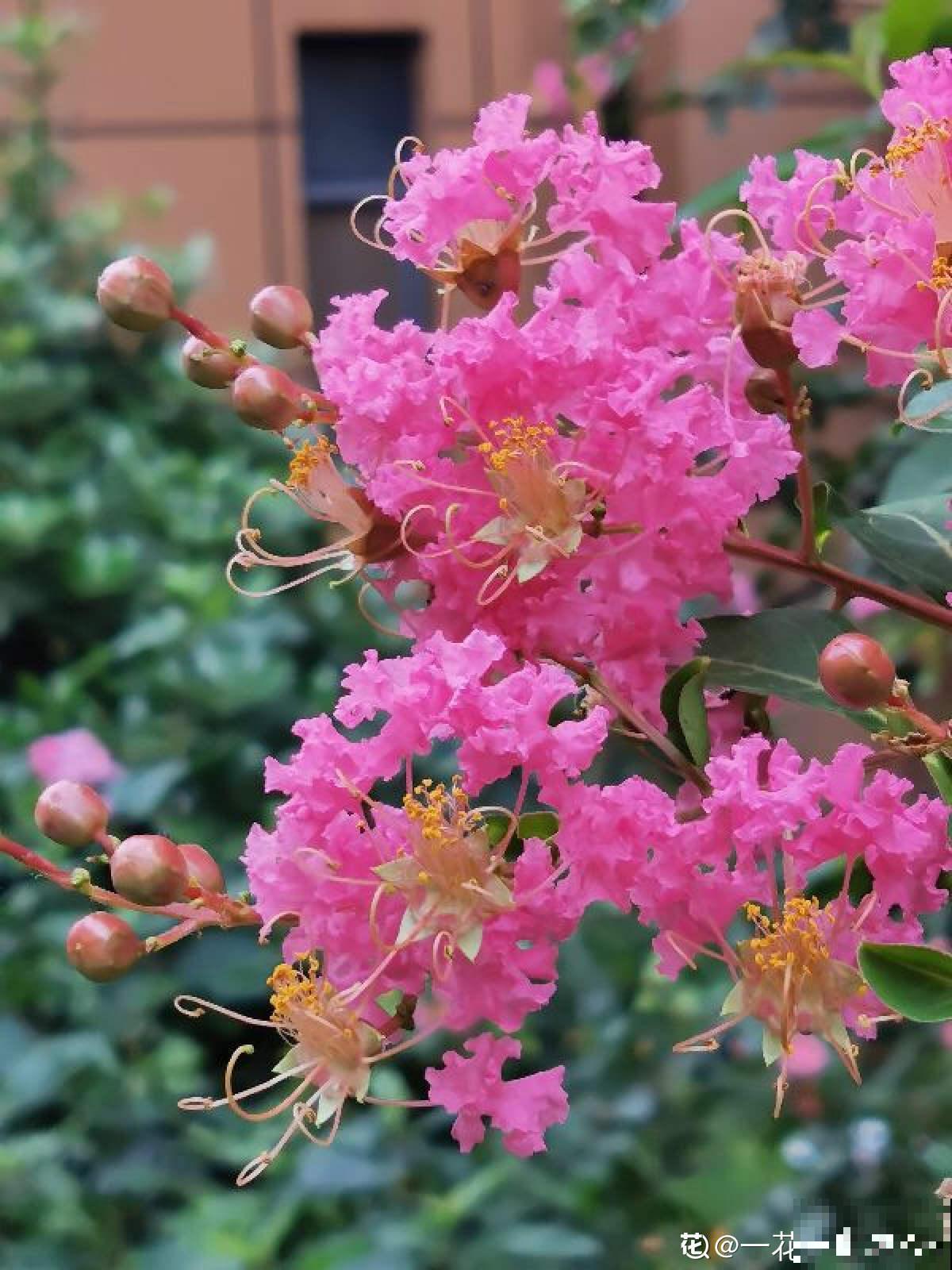 10个人生道理，年过半百的人更能理解，你赞同吗