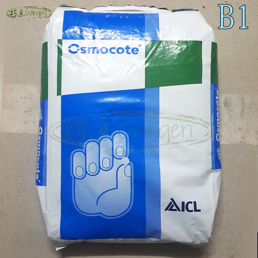 紫竹梅的5个种植关键点,你都知道吗? 紫竹梅的5个种植关键点,你都知道吗?