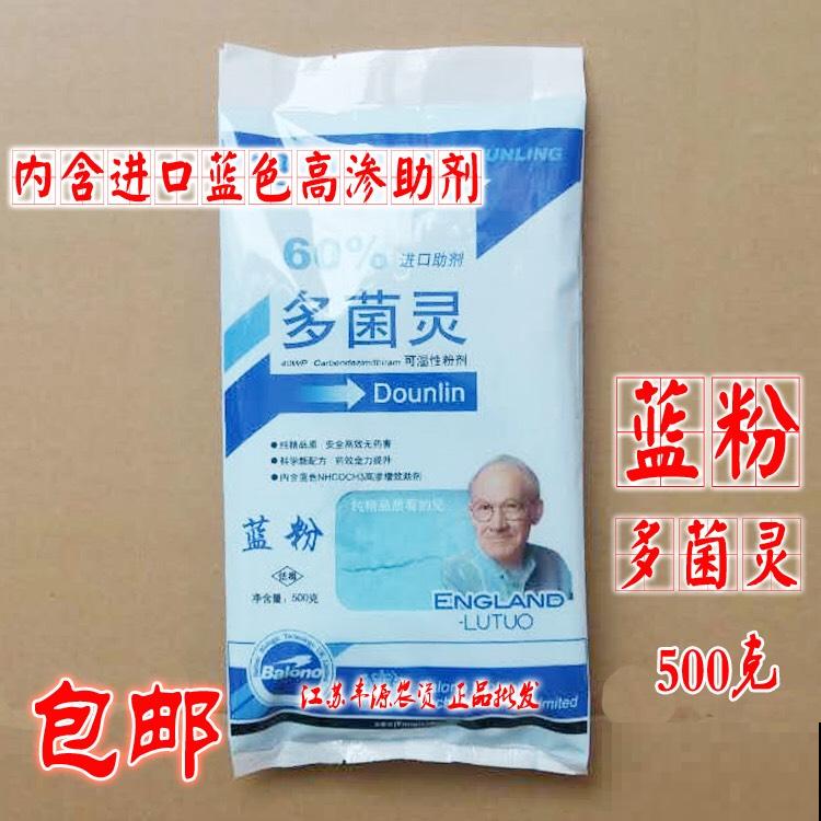 养兰人经常犯的错误，踩“雷”概率挺大，怪不得难养好