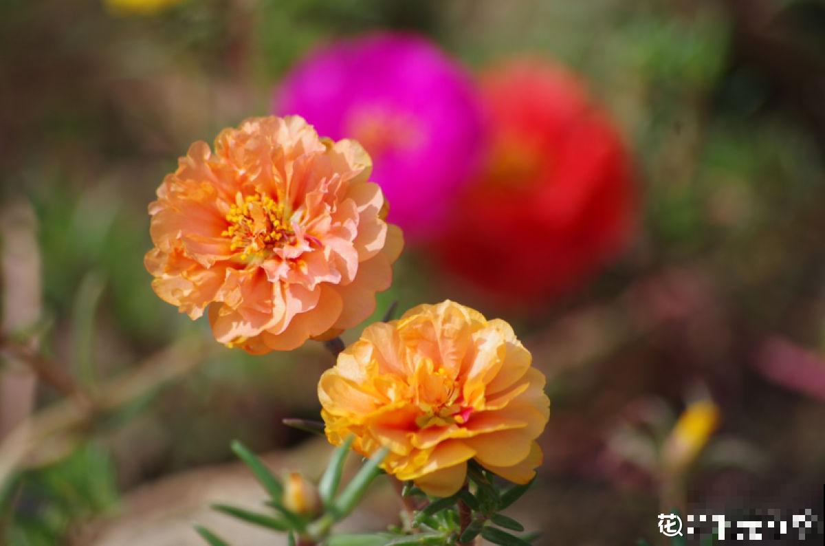 人的年纪越大，4件事情更要想开，生活才会更加如意