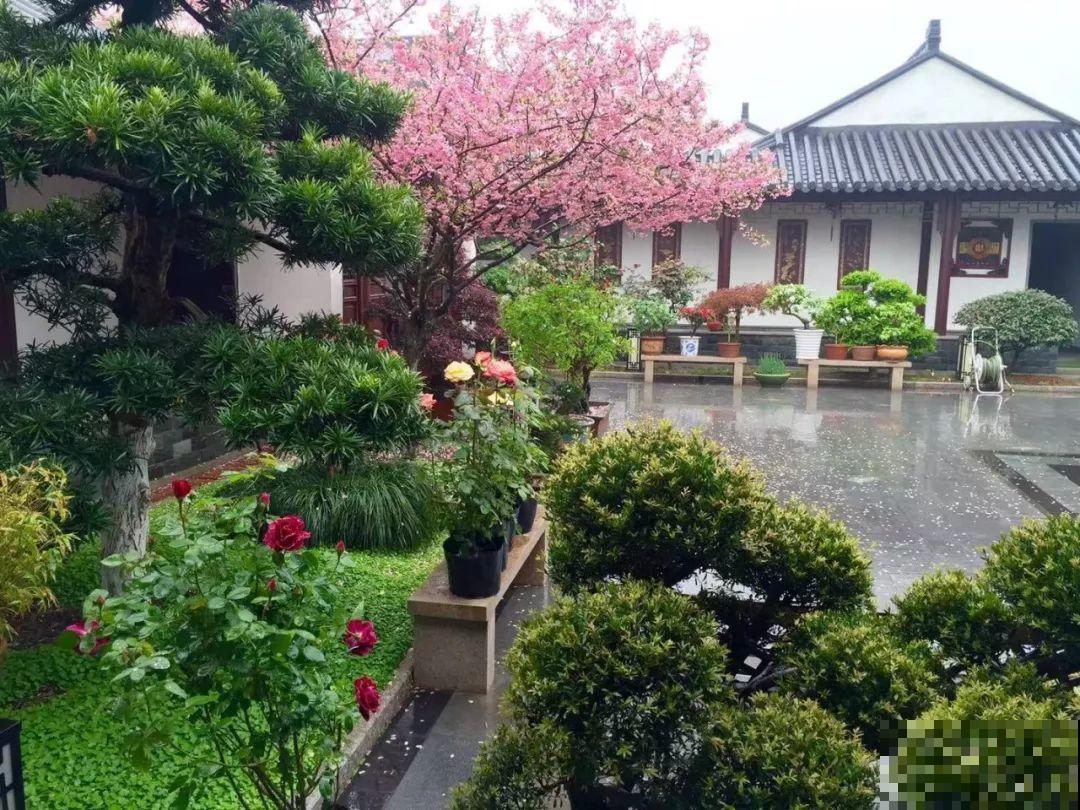 有个小院种种花，听风看雨，满眼花木