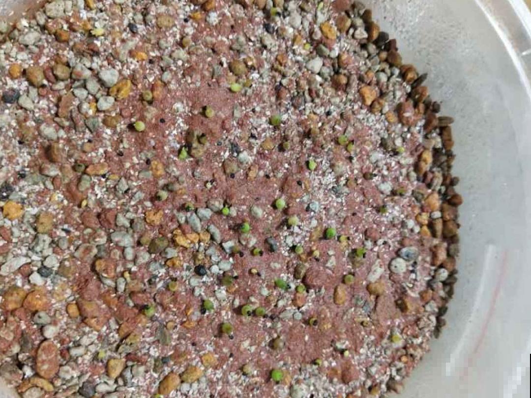 10种花开完不要剪，等20天之后，1盆变多盆