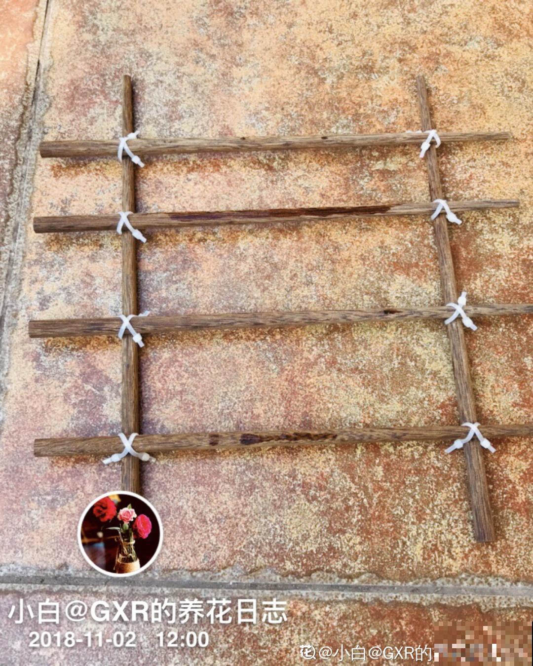 旧筷子、老干妈瓶别扔，拿来养花效果好，省下一笔养花钱