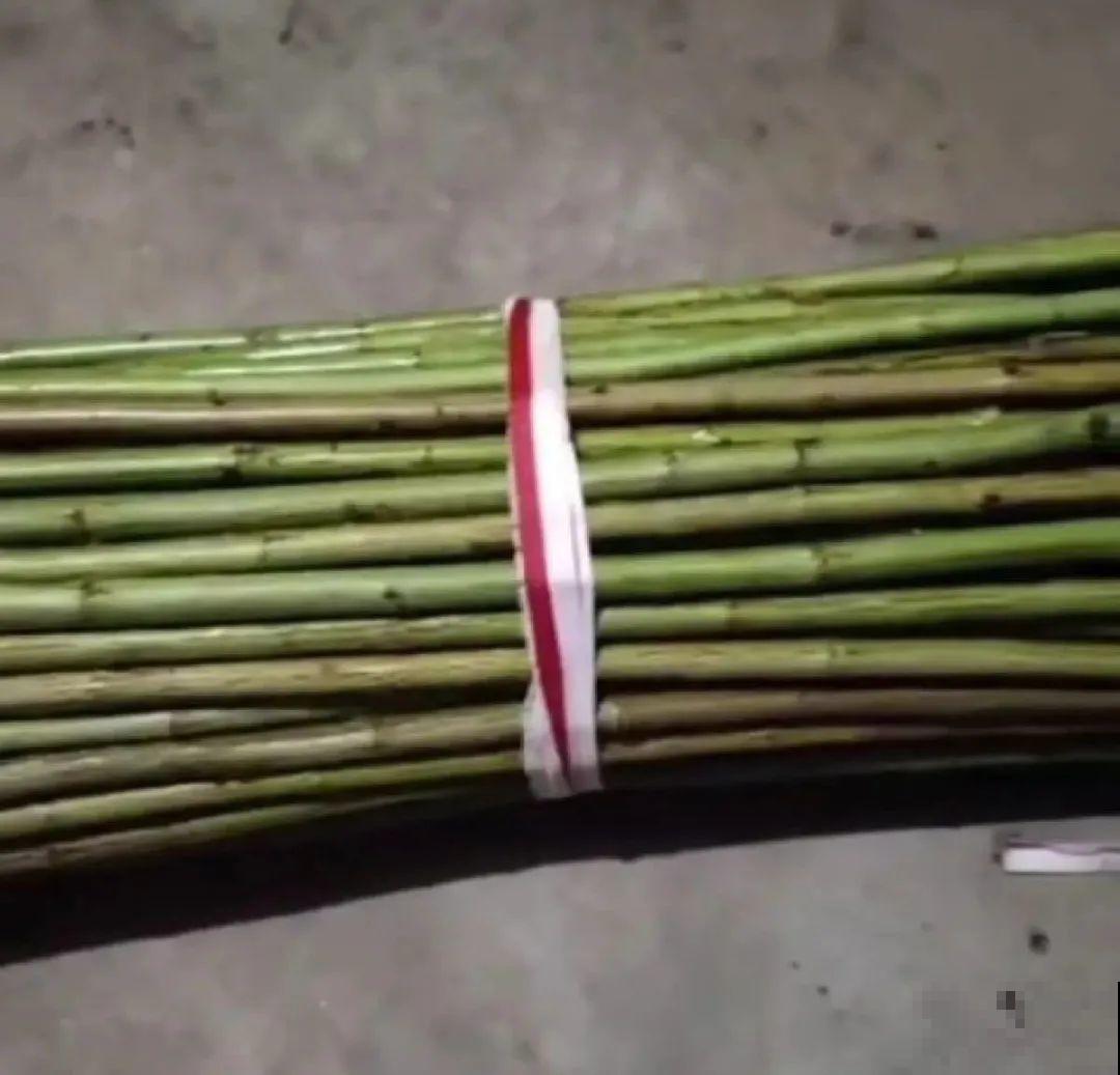 养了30年的玉树,扦插开出9色花,快来沾沾喜气 养了30年的玉树,扦插开出9色花,快来沾沾喜气