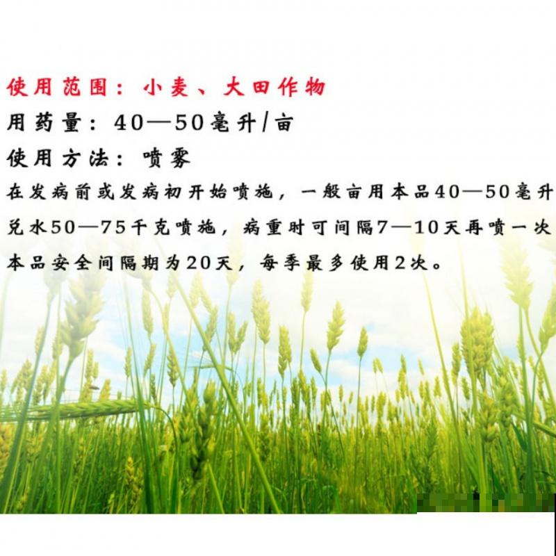 6步养好长寿花,花期超长还能健康长寿 6步养好长寿花,花期超长还能健康长寿