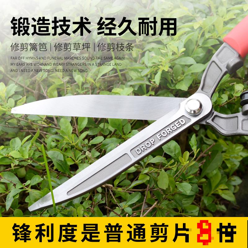 山楂都能在家养了？5个养护步骤，冰糖葫芦能管够