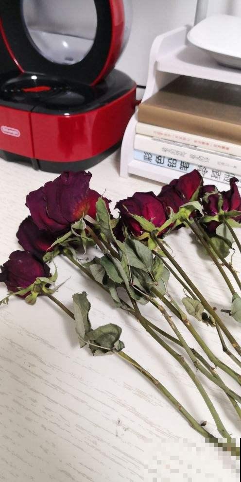 分不清永生花和干花？学会制作干花，让花期无限延长